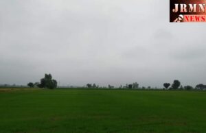 ਖੇਤੀਬਾੜੀ ਵਿਭਾਗ ਹੜ੍ਹ ਪ੍ਰਭਾਵਿਤ ਇਲਾਕਿਆਂ ਦੇ ਕਿਸਾਨਾਂ ਨੂੰ ਉਪਲਬਧ ਕਰਵਾਏਗਾ ਪਨੀਰੀ