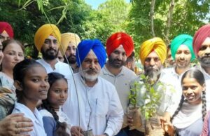 ਸੂਚਨਾ ਤੇ ਲੋਕ ਸਪੰਰਕ ਮੰਤਰੀ ਪੰਜਾਬ ਸ. ਚੇਤਨ ਸਿੰਘ ਜੌੜਾਮਾਜਰਾ ਮੋਹਾਲੀ ਦੇ ਫੇਸ 3ਬੀ1 ਦੇ ਰੋਜ਼ ਗਾਰਡਨ ਵਿਖੇ ਮੋਹਾਲੀ ਗ੍ਰੀਨ ਰੈਲੀ ਚ ਸ਼ਮੂਲੀਅਤ ਮੌਕੇ ਪੌਦਾ ਲਾਉਂਦੇ ਹੋਏ ਅਤੇ ਵੰਡਦੇ ਹੋਏ !