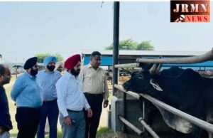 ਪਟਿਆਲਾ ਸ਼ਹਿਰ ਨੂੰ ਜਲਦ ਮਿਲੇਗੀ ਅਵਾਰਾ ਪਸ਼ੂਆਂ ਦੀ ਸਮੱਸਿਆ ਤੋਂ ਨਿਜਾਤ-ਅਜੀਤ ਪਾਲ ਸਿੰਘ ਕੋਹਲੀ