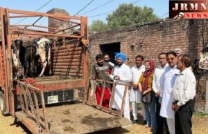 ਵਿਧਾਇਕ ਭੋਲਾ ਗਰੇਵਾਲ ਦੀ ਪਹਿਲਕਦਮੀ ਸਦਕਾ ਬੇਸਹਾਰਾ ਪਸ਼ੂਆਂ ਨੂੰ ਮਿਲਿਆ ਰਹਿਣ ਬਸੇਰਾ !