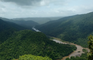 क्या बिना पूर्व Environmental Clearance के उद्योगों को बंद किया जाना चाहिए? एक कानूनी विश्लेषण