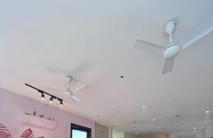 ਆਲ ਇੰਡੀਆ ਰੇਡੀਓ ਲੁਧਿਆਣਾ ਵੱਲੋਂ ਅੰਤਰਰਾਸ਼ਟਰੀ ਯੋਗ ਦਿਵਸ ਦੇ ਮੌਕੇ ‘ਤੇ ਯੋਗ ਵਰਕਸ਼ਾਪ ਕਰਵਾਈ