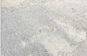 ਪਲਾਹੀ ਤੋਂ ਫਗਵਾੜਾ ਤੱਕ ਜਾਂਦੀ ਸੜਕ ਦੀ ਹਾਲਤ ਖ਼ਸਤਾ ਹੋਣ ਕਾਰਨ ਰਾਹਗੀਰ ਪ੍ਰੇਸ਼ਾਨ